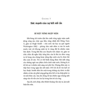 Sách - Tiềm Năng Lớn