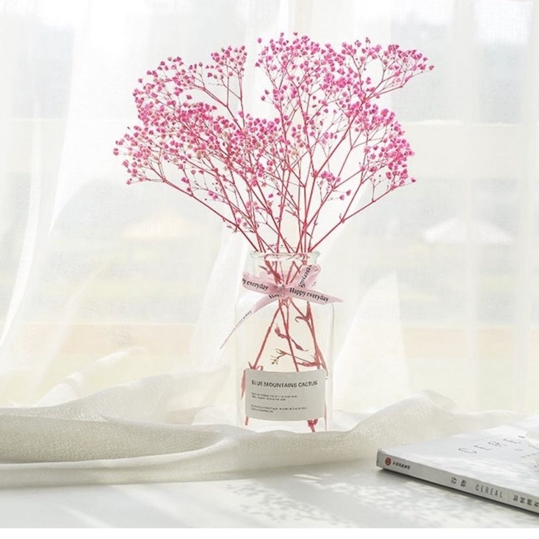 Bình hoa khô được làm từ hoa tự nhiên đã qua xử lý kèm dây điện và nơ