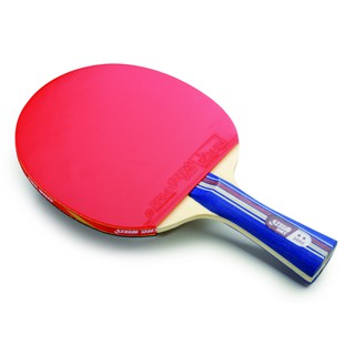 Vợt bóng bàn dhs 3002