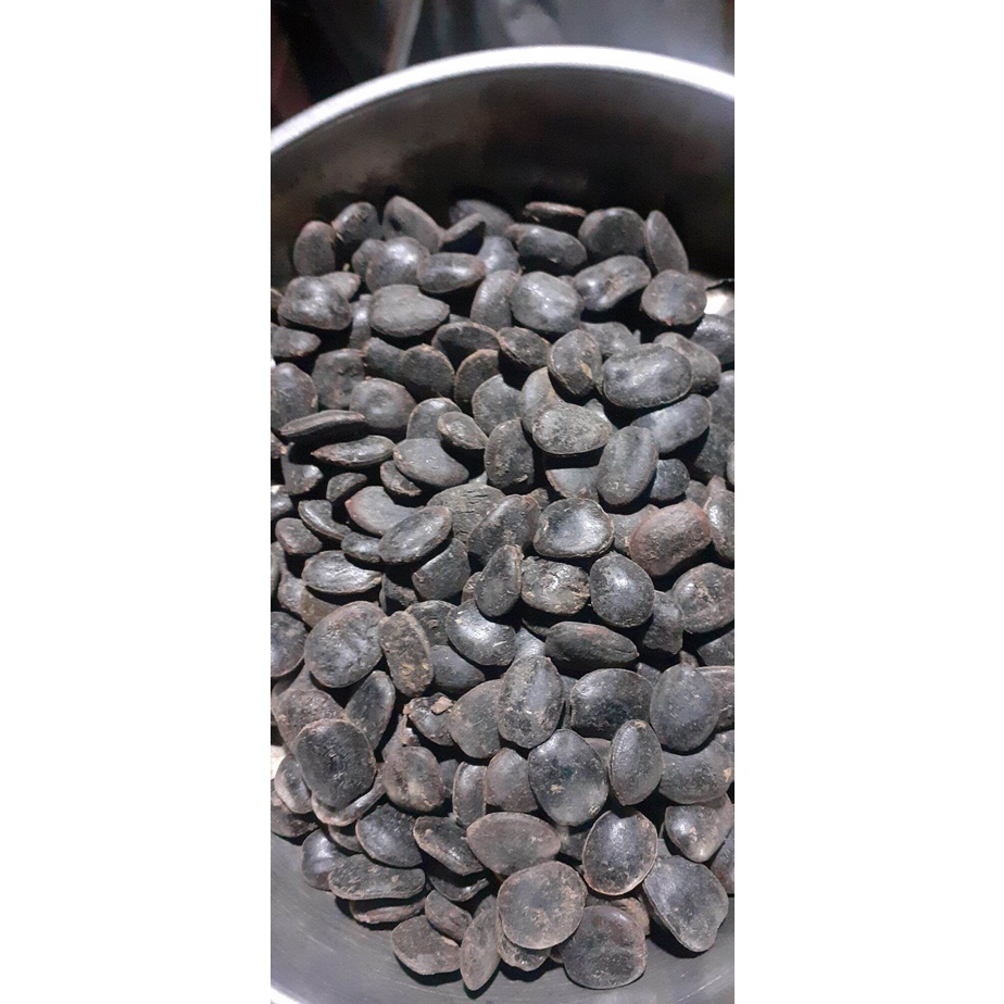 200gram hạt giống lim xanh