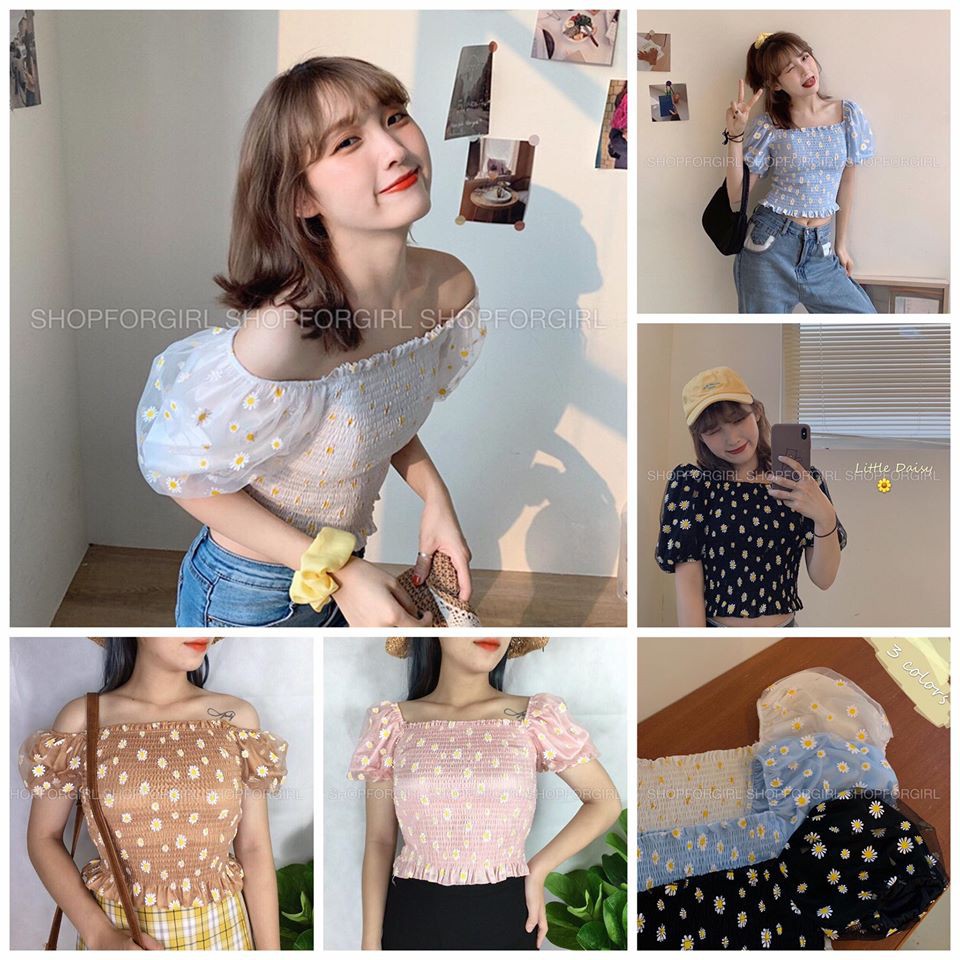 Áo tay phồng hoa cúc màu trắng tay ngắn - shop8868
