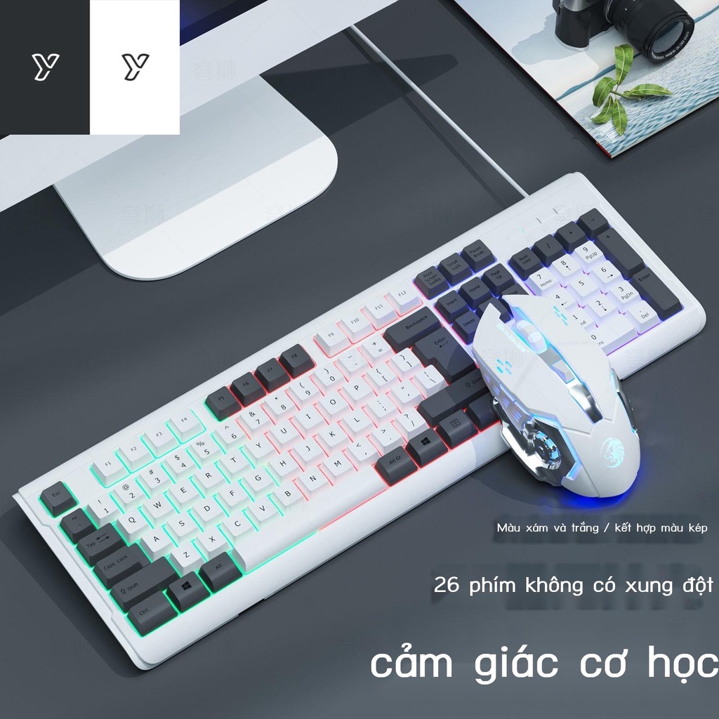 ✆♛Mái vòm sư tử đôi chính tả hỗn hợp màu bàn phím bộ chuột máy thao tác cảm thấy nút đình chỉ tính có dây trò chơi gà th