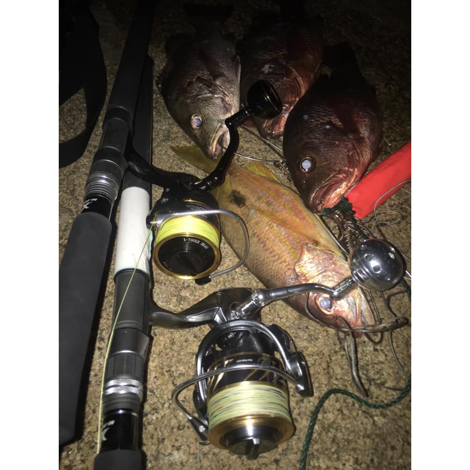 Cần câu Madmouse Popping Kuroshio, câu Lure ghềnh, đánh popping.