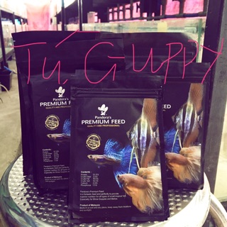 Cám pandora - black - gold