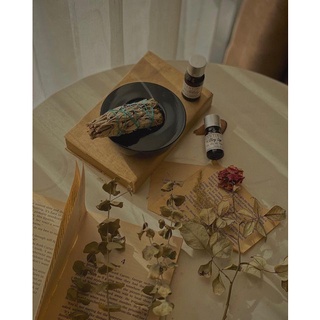 BÓ XÔ THƠM TRẮNG-THANH TẨY (WHITE SAGE)