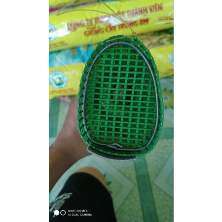 Trúm lươn lưới nhựa đời mới