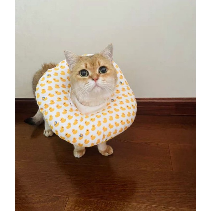 GỐI CHỐNG LIẾM CHÓ MÈO 800Gr - 18Kg