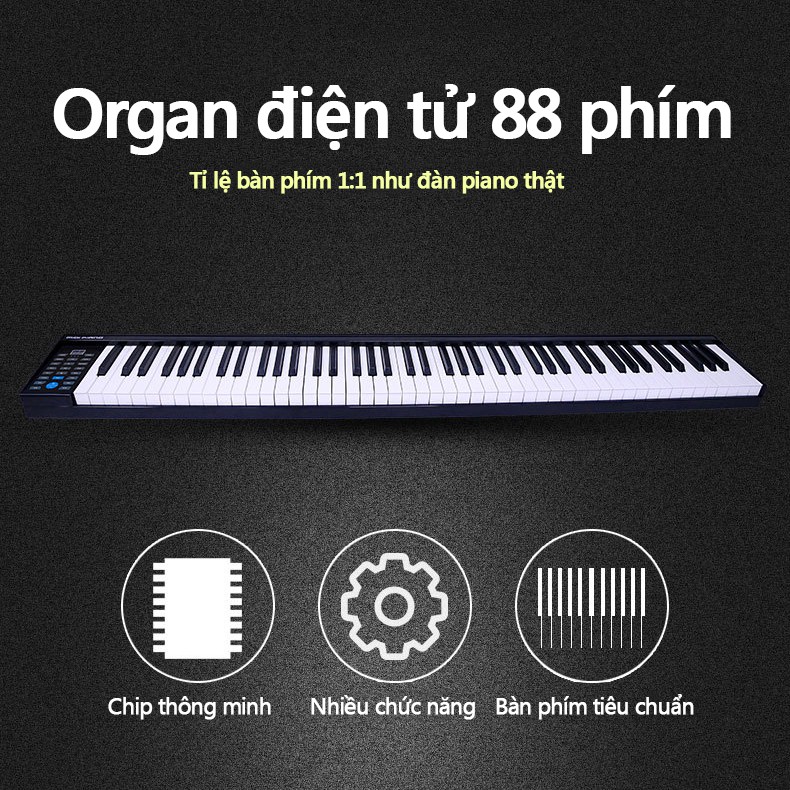 MUS02 Đàn organ điện tử 88 phím kết nối bluetooth đàn piano MIDI organ tập luyện