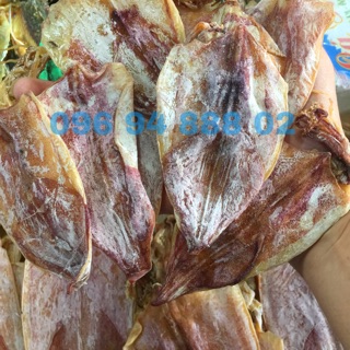 20 con mực khô nha trang y hình