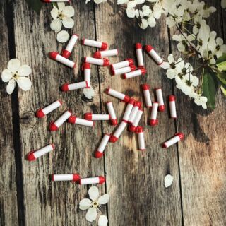 VỎ SON ĐỦ MÀU SẮC combo 10 cây