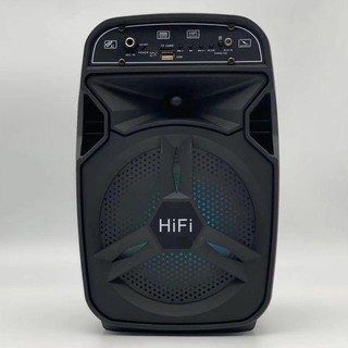 LOA BLUETOOTH BT-06 TẶNG KÈM MIC DÂY