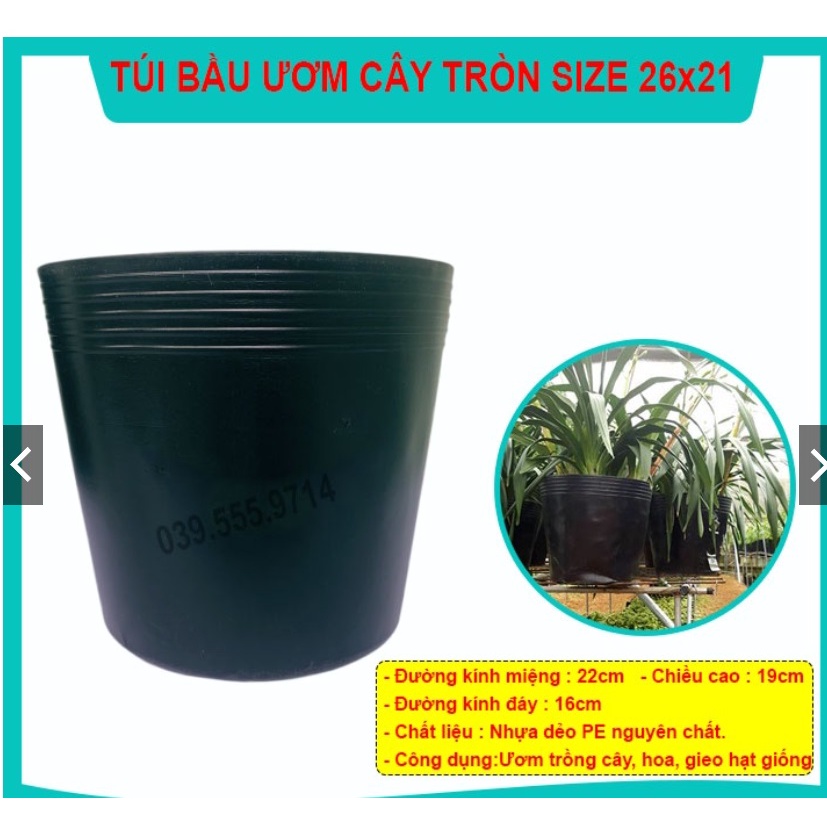 TÚI BẦU NHỰA MỀM ƯƠM CÂY SZE 26X21 ( 500GRAM) - CHẬU ĐẸP BỀN TÁI SỬ DỤNG NHIỀU LẦN