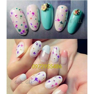 Gel Hoa Khô Ẩn trang trí móng