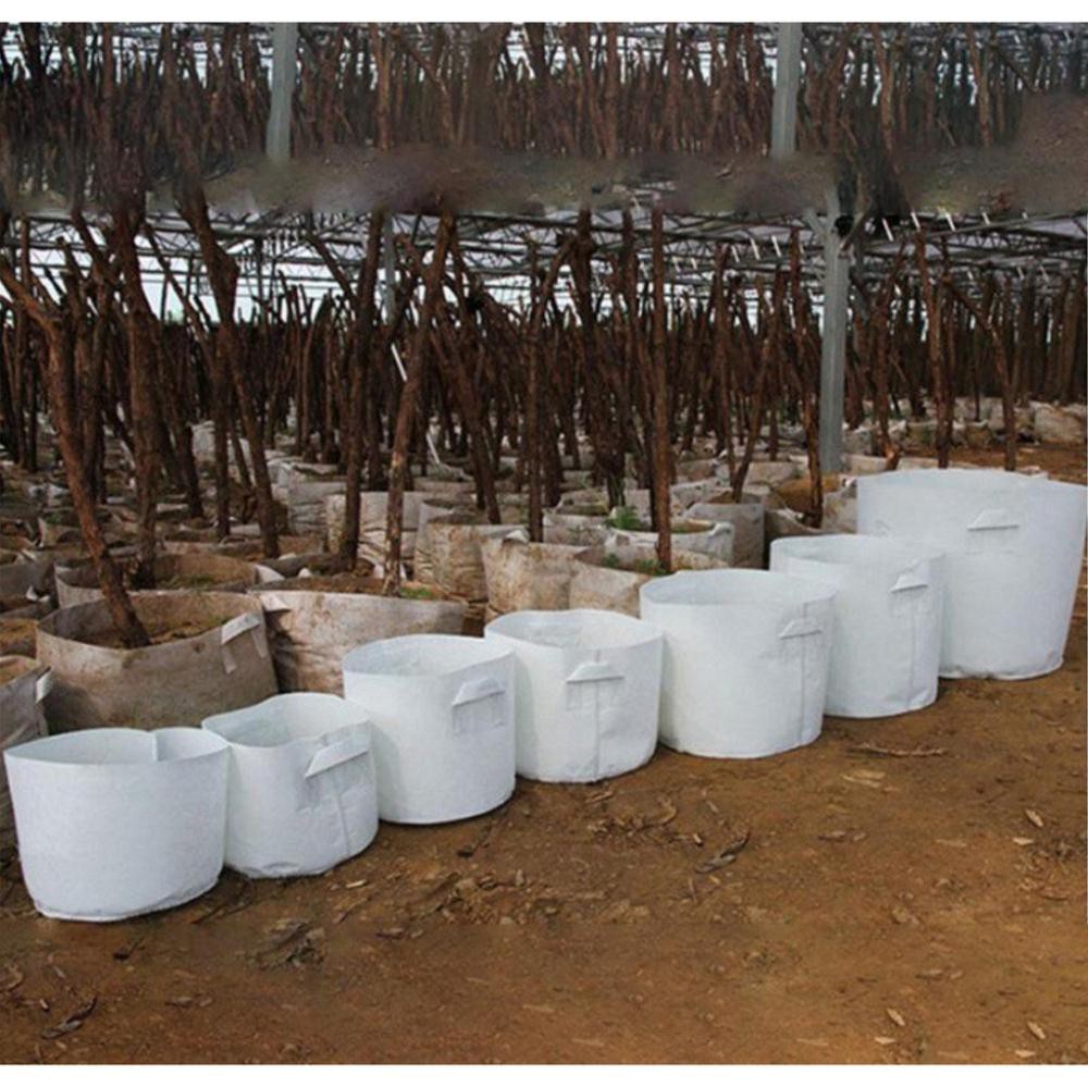 Combo 50 TÚI VẢI CỠ ĐẠI TRỒNG CÂY 40X50