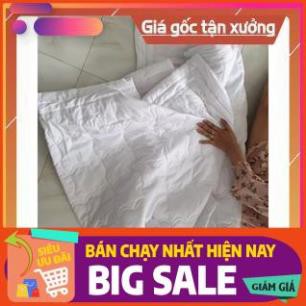 [Click Mua Ngay] Sale sốc ruột mền, ruột chăn kate size: 1m6/m8/2m2 giá sỉ