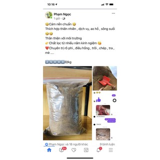 com bo 4 kg Cám Nền, Cám pha mồi câu
