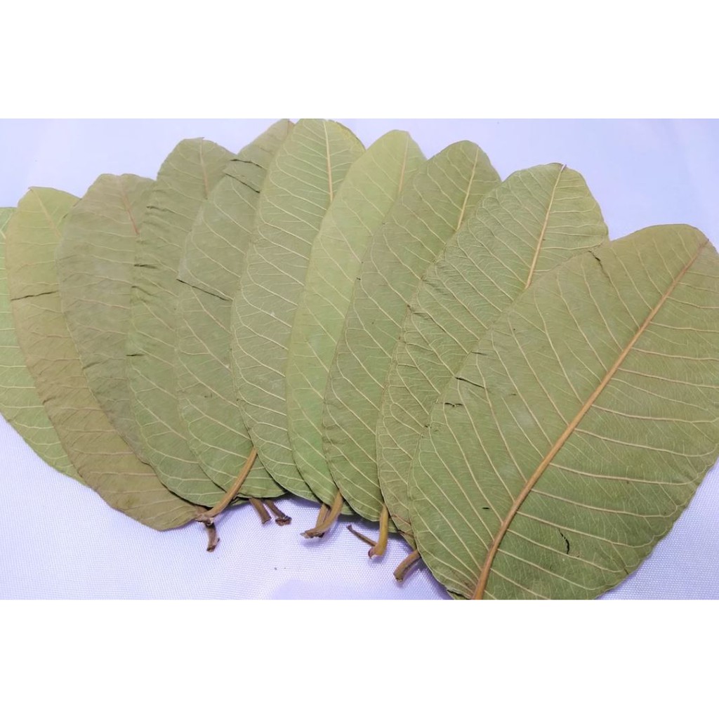 [Mã 267FMCGSALE giảm 8% đơn 500K] Trà Lá Ổi Khô giảm mỡ thừa, cholesterol và kiểm soát bệnh tiểu đường (500g)