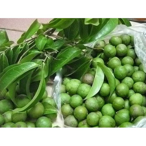 1kg Sấu giòn bao tử - Đặc sản Hà Nội