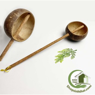 Gáo dừa múc nước - gáo lớn [ dài 40cm x đường kính 12cm ]