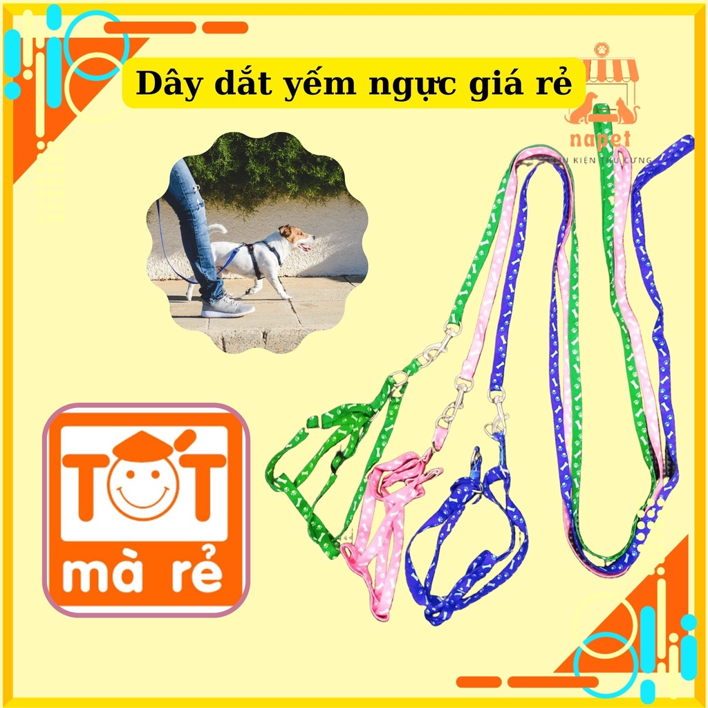Dây dắt chó mèo siêu rẻ - Dây yếm nhiều màu cho chó mèo