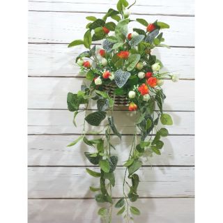 Giỏ hoa trà treo tường