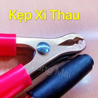 Kẹp Bình Xi Thau 50a - 75a - 200a