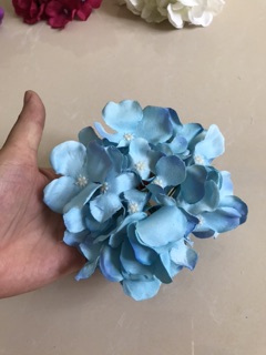 Chùm hoa Tú cầu
