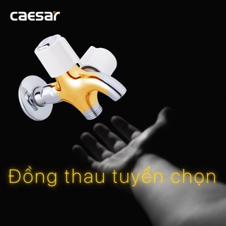 Vòi Sen Lạnh - W038C