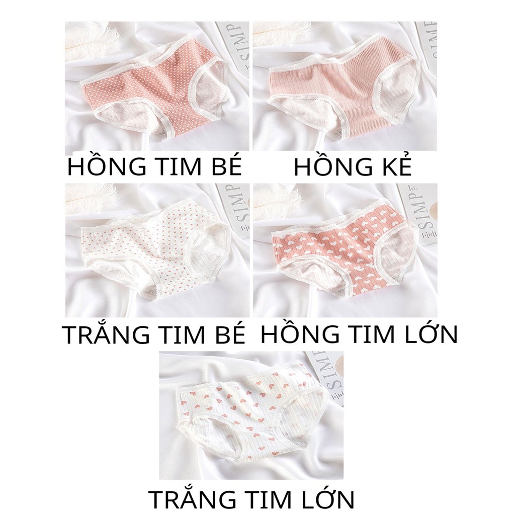 Quần Lót nữ dễ thương ❤️️FREESHIP❤️️ Quần Lót Nữ gân tăm tim hồng paster- Quần Lót thoáng mát không tạo hằn mã 8019 | BigBuy360 - bigbuy360.vn