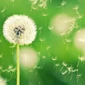 Shop quần áo Tina