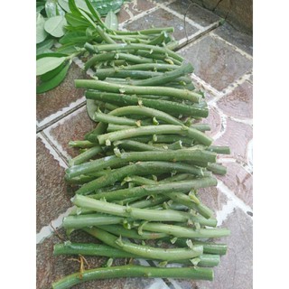 20 khúc thạch anh giống