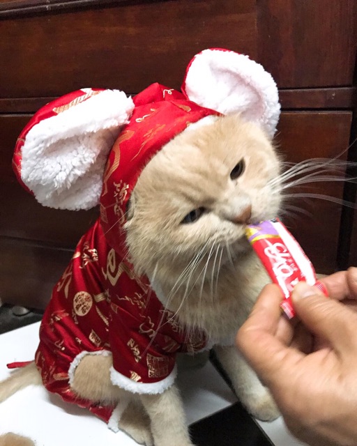 Áo chuột đỏ, áo Tết cho thú cưng