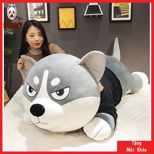 Gấu Bông Chó Husky Siêu To Khổng Lồ _ Chó Husky Siêu Mềm Mịn  tạo cảm giác thoải mái khi ôm. -  𝐁𝐔𝐍𝐍𝐘