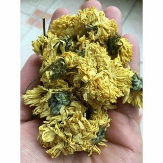 Sỉ lẻ trà hoa cúc vàng 50g - 100g