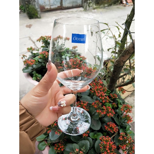 Ly rượu vang Ocean 015r15 - hàng thái lan dung tích 425ml
