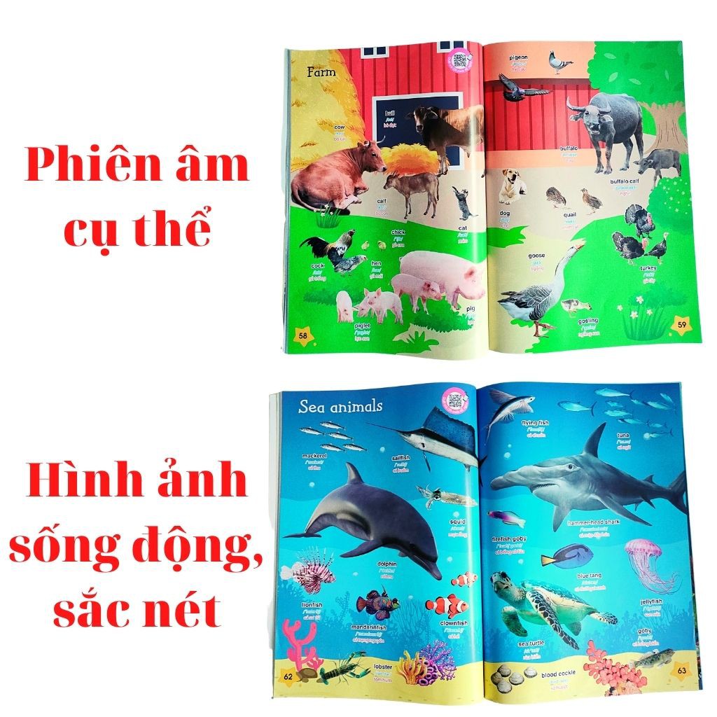 Chinh Phục Tiếng Anh Cùng Bé Tư Duy Ngoại Ngữ - Q.uét Mã Q.R Để Đọc- Hình Ảnh,  m Thanh Phụ Đề Rõ Ràng - ALOKIDS TB