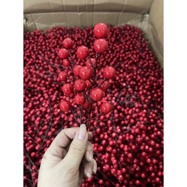 Kép trạng nguyên, rẻ quạt, lá táo đồng, nhánh đào đông, cành lan đồng