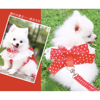 Dây dắt cánh thiên thần cho chó mèo, yếm dắt chó đi dạo