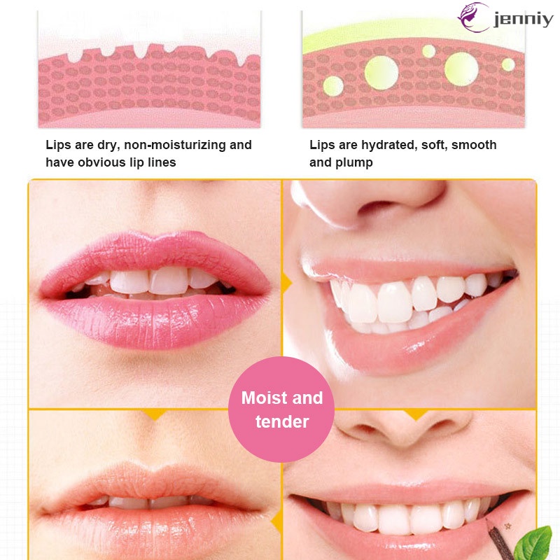 [JNY] Lip Balm Assorted Flavors With Beeswax Aloe Green Tea for Dry Lips For Adults and Kids Lip Repair