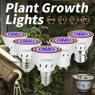 E27 quang phổ đầy đủ led grow light e14 cây con hoa hydroponics lamp gu10 plant bulb đèn led chiếu sáng 220v mr16