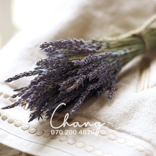 Bó hoa khô Lavender Pháp (hoa Oải hương)