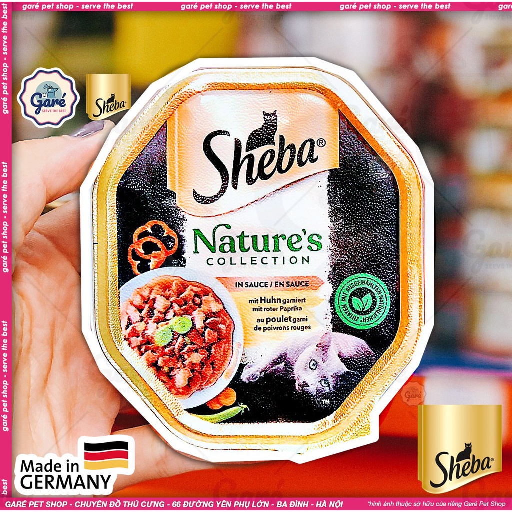 Pate Đức cho Mèo Sheba Craft cao cấp thơm tươi ngon từ Thịt Gia cầm, Thịt Gà, Thịt Bò &amp; Cá ngừ nhập Đức