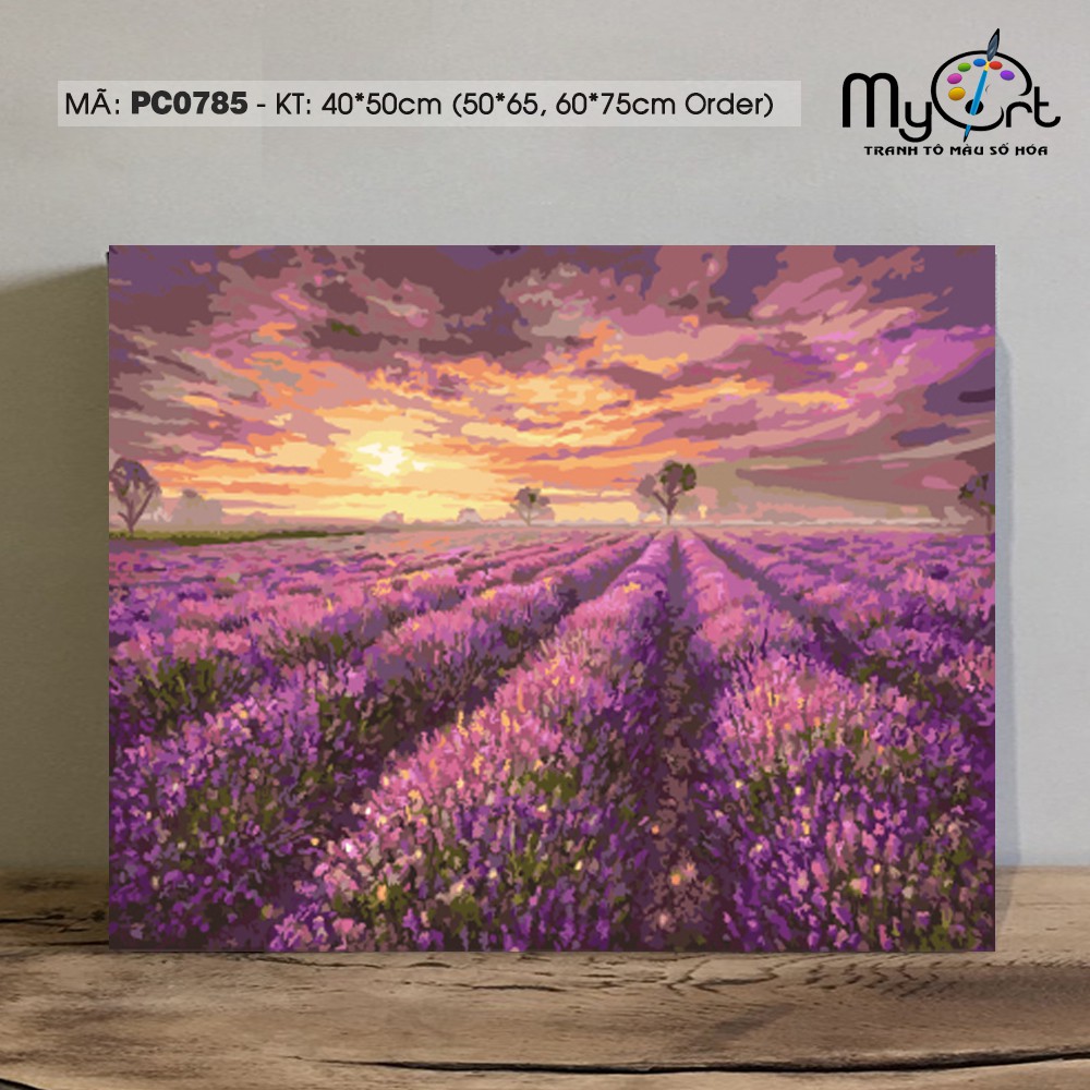 Tranh tô màu theo số PC0785 Tranh sơn dầu số hóa phong cảnh đồng hoa oải hương Lavender