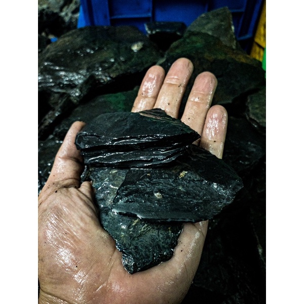 Đá Trầm Tích Đen (1KG)| Trang Trí Setup Bể Thủy Sinh, Biotope, Blackwater| Mua Nhiều Giảm Giá