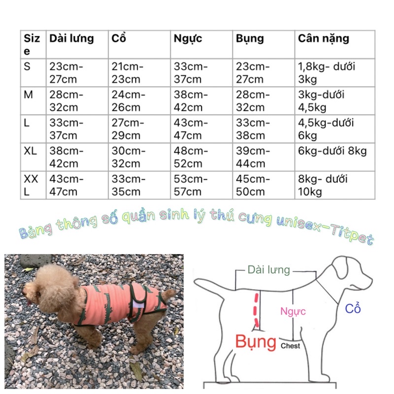 Quần sinh lý thú cưng unisex