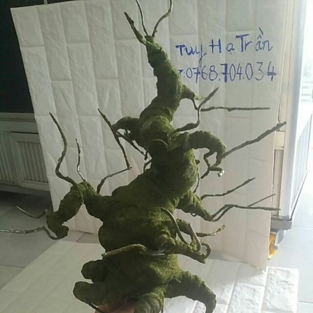 Gốc bonsai 40cm