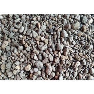 [500g] Đá bọt Pumice