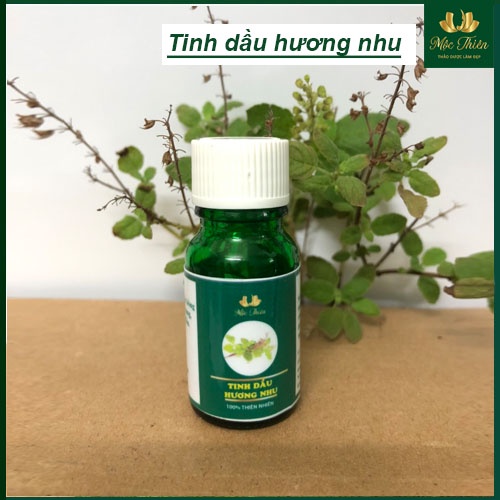 Tinh dầu hương nhu chăm sóc tóc 10ml (Tặng vỏ chai xịt)