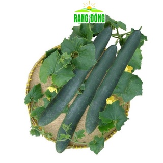 Hạt giống bí đao xanh trái dài Java_Rạng Đông