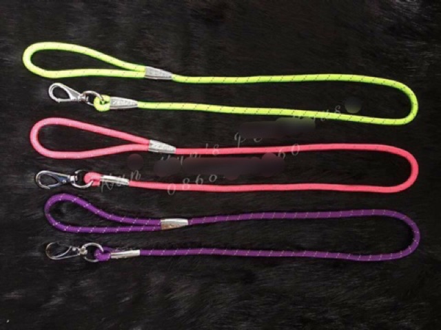Dây dắt phản quang cho chó